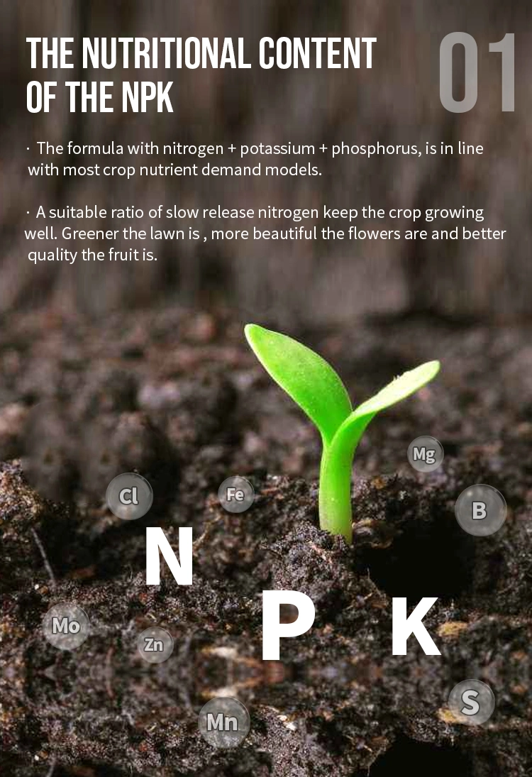 UF/Mu Slow Release NPK Fertilizer 19-8-19 Contain Trace Elements