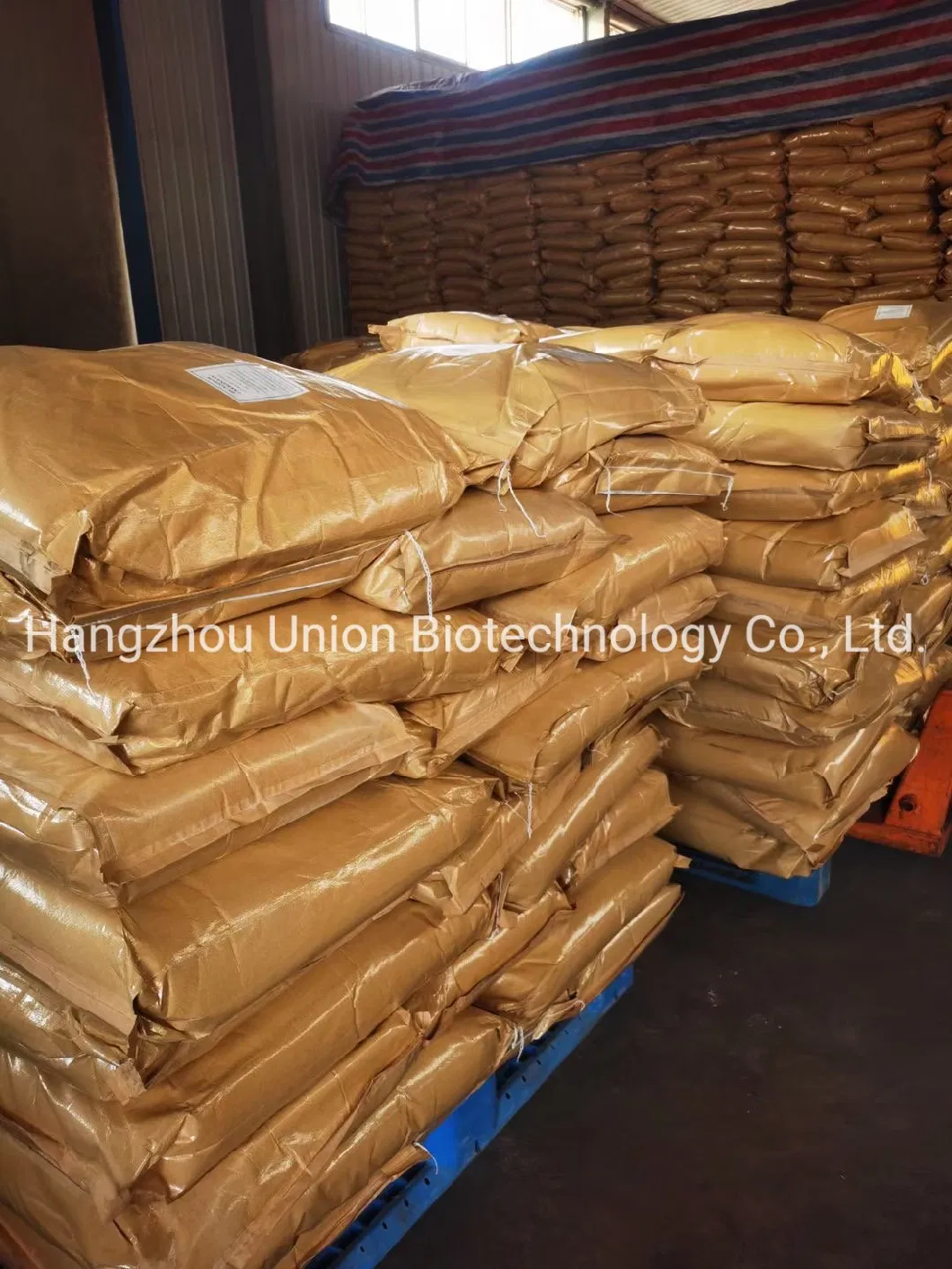 Food/Feed/Pharma Grade Glycine Powder Manufacturer in China CAS 56-40-6