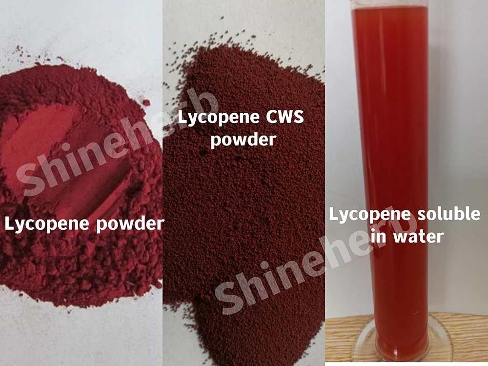 Natural Anti-Oxidatio Tomato Extract Powder / Cws /Oil 2%-20% 96% Lycopene