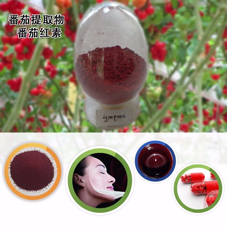 Natural Tomato Extract Powder Lycopene 6% 10% 20%